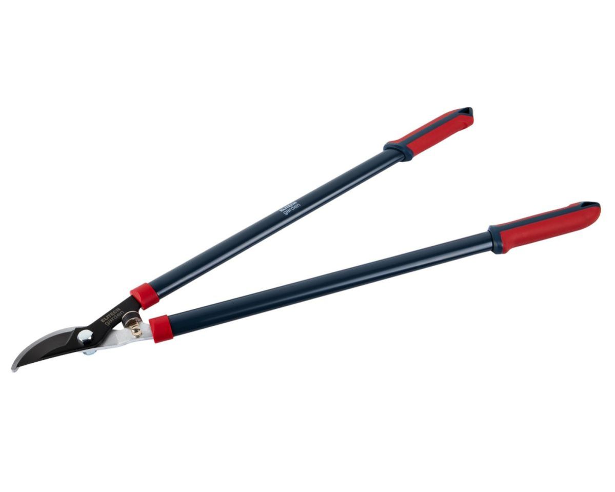 GCT18